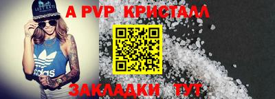 ECSTASY Гай