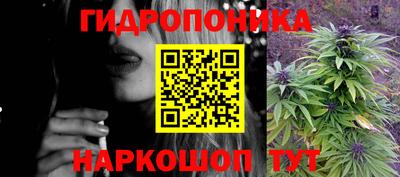индика Гагарин
